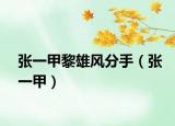 张一甲黎雄风分手（张一甲）