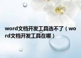 word文档开发工具选不了（word文档开发工具在哪）