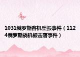 1031俄罗斯客机坠毁事件（1124俄罗斯战机被击落事件）