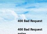 <html>
<head><title>400 Bad Request<title><head>
<body>
<center><h1>400 Bad Request<h1><center>
<hr><center>nginx<center>
<body>
<html>
