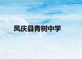 凤庆县青树中学