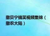 撒贝宁搞笑视频集锦（撒农大陆）