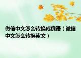 微信中文怎么转换成俄语（微信中文怎么转换英文）