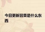 今日更新冒菜是什么东西