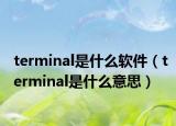 terminal是什么软件（terminal是什么意思）