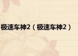 极速车神2（极速车神2）