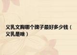 义乳文胸哪个牌子最好多少钱（义乳是啥）