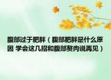 腹部过于肥胖（腹部肥胖是什么原因 学会这几招和腹部赘肉说再见）