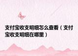 支付宝收支明细怎么查看（支付宝收支明细在哪里）
