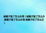 被蝎子蛰了怎么处理（被蝎子蛰了怎么办,被蝎子蛰了怎么处理,被蝎子咬了怎么办）
