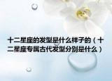 十二星座的发型是什么样子的（十二星座专属古代发型分别是什么）