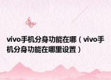 vivo手机分身功能在哪（vivo手机分身功能在哪里设置）