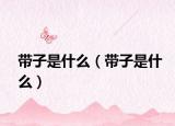 带子是什么（带子是什么）