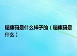 穗康码是什么样子的（穗康码是什么）