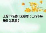 上标下标是什么意思（上标下标是什么意思）