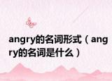 angry的名词形式（angry的名词是什么）