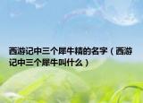 西游记中三个犀牛精的名字（西游记中三个犀牛叫什么）