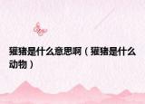 獾猪是什么意思啊（獾猪是什么动物）