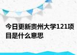 今日更新贵州大学121项目是什么意思