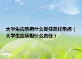大学生应承担什么责任怎样承担（大学生应承担什么责任）