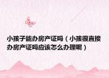 小孩子能办房产证吗（小孩很直接办房产证吗应该怎么办理呢）