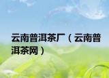 云南普洱茶厂（云南普洱茶网）