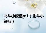 北斗小辣椒m1（北斗小辣椒）