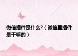 微信插件是什么?（微信里插件是干嘛的）