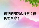 戌狗的戌怎么读音（戌狗怎么念）
