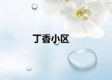 丁香小区