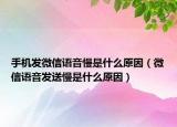 手机发微信语音慢是什么原因（微信语音发送慢是什么原因）