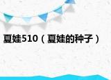 夏娃510（夏娃的种子）