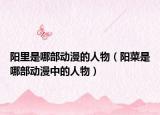 阳里是哪部动漫的人物（阳菜是哪部动漫中的人物）