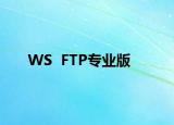 WS  FTP专业版