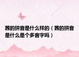 茜的拼音是什么样的（茜的拼音是什么是个多音字吗）