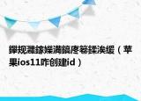 鑻规灉鎵嬫満鎬庝箞鍒涘缓（苹果ios11咋创建id）