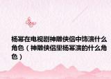 杨幂在电视剧神雕侠侣中饰演什么角色（神雕侠侣里杨幂演的什么角色）