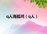 q人海孤鸿（q人）