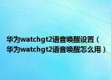 华为watchgt2语音唤醒设置（华为watchgt2语音唤醒怎么用）