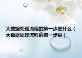 大数据处理流程的第一步是什么（大数据处理流程的第一步是）