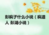 彭疯子什么小说（疯道人 彭湖小说）