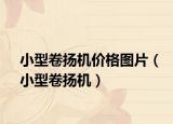 小型卷扬机价格图片（小型卷扬机）