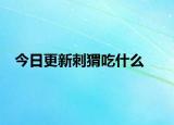 今日更新刺猬吃什么