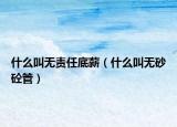 什么叫无责任底薪（什么叫无砂砼管）