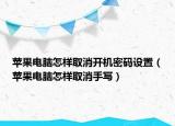 苹果电脑怎样取消开机密码设置（苹果电脑怎样取消手写）