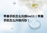 苹果手机怎么升级ios11（苹果手机怎么升级内存）