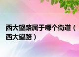 西大望路属于哪个街道（西大望路）