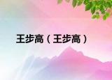 王步高（王步高）