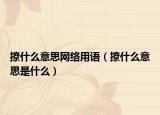 撩什么意思网络用语（撩什么意思是什么）