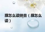 濮怎么读拼音（濮怎么读）